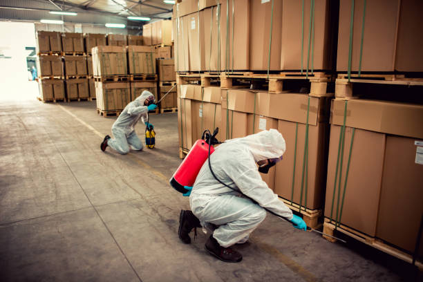 Best Local Pest Control Services  in Pine Lake Park, NJ