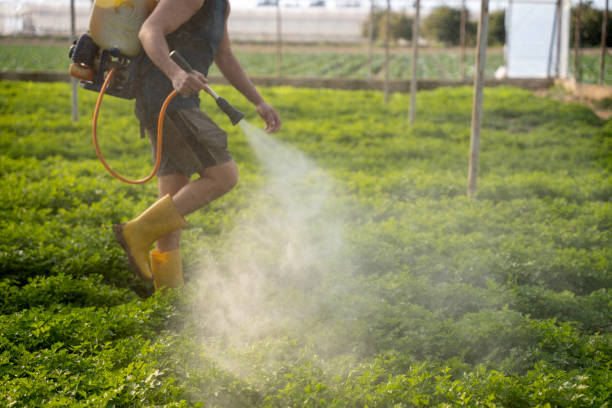 Best Local Pest Control Services  in Pine Lake Park, NJ