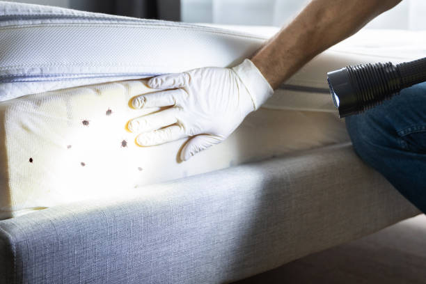 Best Pest Control Near Me  in Pine Lake Park, NJ