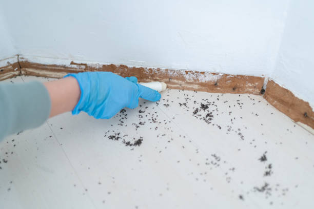 Best Residential Pest Control  in Pine Lake Park, NJ